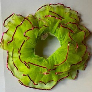 A Wish Come True Conga Dance Costume Tutu for Child